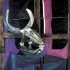 Пабло Пикассо «Натюрморт с черепом быка»